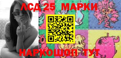 сатива Новозыбков