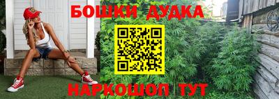 стаф Нальчик
