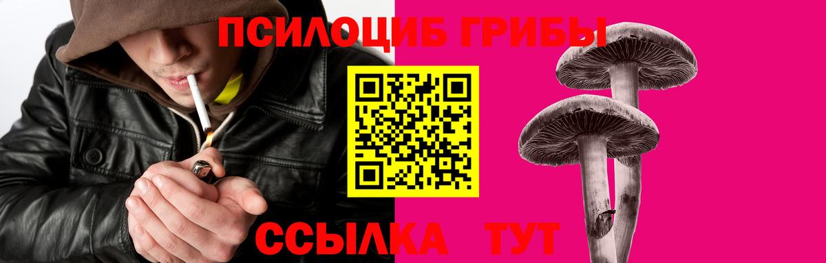 Галлюциногенные грибы Cubensis Ульяновск